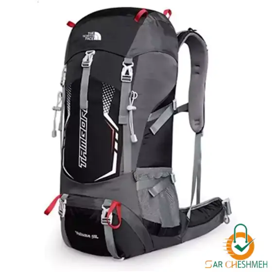 کوله پشتی 50 لیتری نورث فیس { NORTHFACE } مدل الکترون