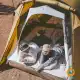 چادر تونلی 3 نفره نیچرهایک مدل CNH22ZP027