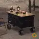 چرخ دستی تاشو کمپینگ شاین تریپ مدل A420