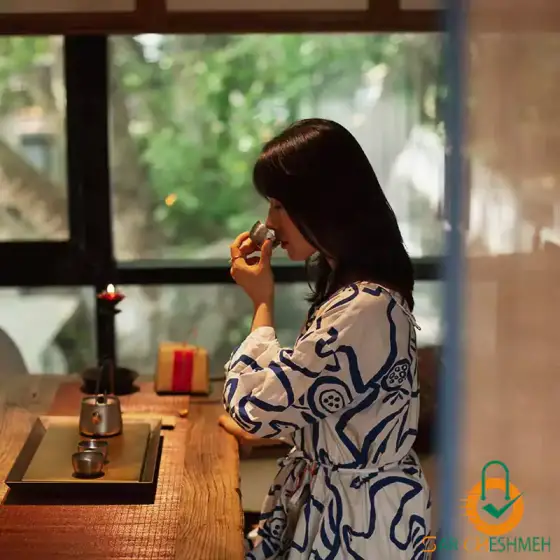 ست ظروف چای و قهوه خوری تیتانیوم نیچرهایک مدل NH20CJ007‏