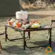 میز تاشو کمپینگ نیچرهایک مدل NH20JJ028