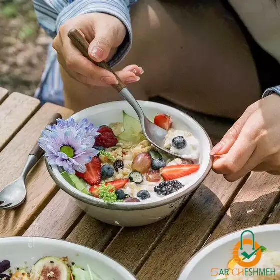 ظروف کمپینگ لعابی نیچرهایک مدل NH20SJ030