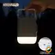 تشک بادی دو نفره بلک داگ مدل CBD2550WS040