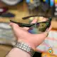 عینک کوهنوردی و طبیعتگردی 5 لنز اوکلی مدل OAKLEY E20